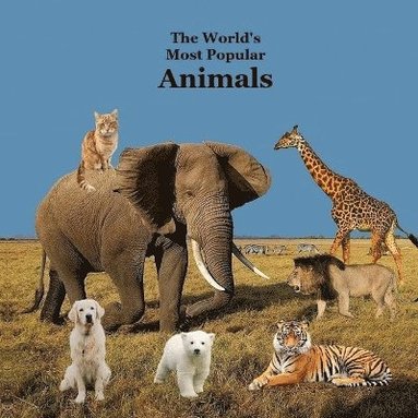 bokomslag The World's Most Popular Animals Children's Book