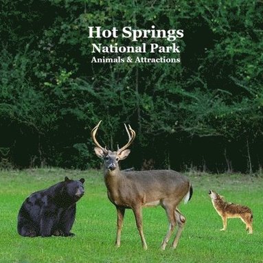 bokomslag Hot Springs National Park Animals and Attractions Kids Book