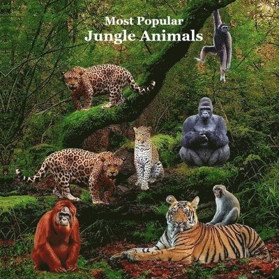 Most Popular Jungle Animals Kids Book 1