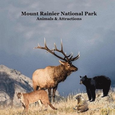 bokomslag Mount Rainier National Park Animals Attractions Kids Book