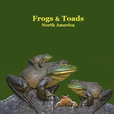 Frogs and Toads of North America Kids Book 1