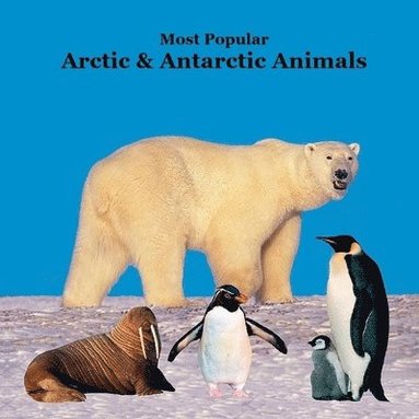 bokomslag Most Popular Arctic and Antarctic Animals Kids Book