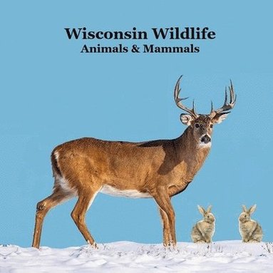 bokomslag Wisconsin Animals and Mammals Wildlife Book