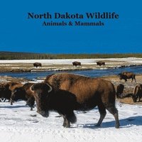 bokomslag North Dakota Animals and Mammals Wildlife Book: Great North Dakota Animals Book for Children of all Ages