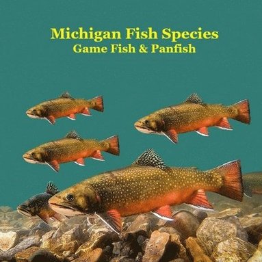 bokomslag Michigan Game Fish and Panfish Species Kids Book