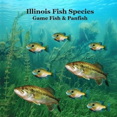 bokomslag Illinois Game Fish and Panfish Species Kids Book