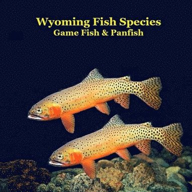 bokomslag Wyoming Game Fish and Panfish Species Kids Book