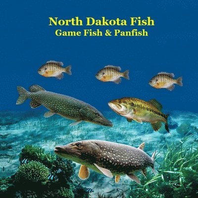 North Dakota Game Fish and Panfish Species Kids Book 1