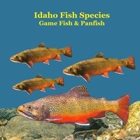 bokomslag Idaho Panfish and Game Fish Species Kids Book