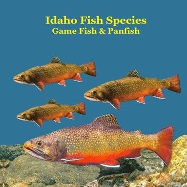 bokomslag Idaho Panfish and Game Fish Species Kids Book