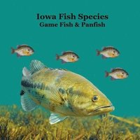 bokomslag Iowa Game Fish and Panfish Species Kids Book: Great Book About the Different Types of Fish in Iowa