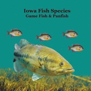 bokomslag Iowa Game Fish and Panfish Species Kids Book: Great Book About the Different Types of Fish in Iowa