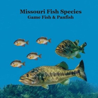bokomslag Missouri Game Fish and Panfish Species Kids Book