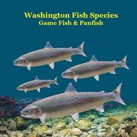 bokomslag Washington State Game Fish and Panfish Species Kids Book