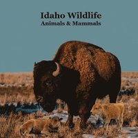 bokomslag Idaho Animals and Mammals Kids Wildlife Book