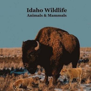 bokomslag Idaho Animals and Mammals Kids Wildlife Book
