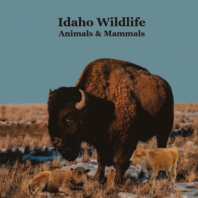 Idaho Animals and Mammals Kids Wildlife Book 1