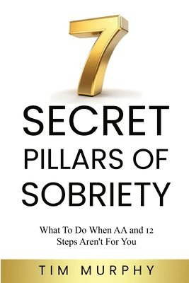 bokomslag 7 Secret Pillars of Sobriety