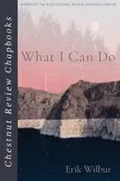 Erik Wilbur - What I Can Do, Häftad. Tillgänglighet: Lägg i varukorg