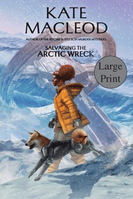 Salvaging the Arctic Wreck