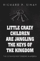 bokomslag Little Crazy Children are Jangling the Keys of the Kingdom