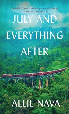Allie Nava - July and Everything After, Inbunden