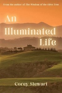 bokomslag Illuminated Life