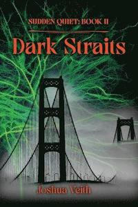 bokomslag Dark Straits