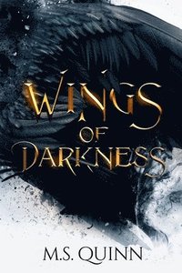 bokomslag Wings of Darkness