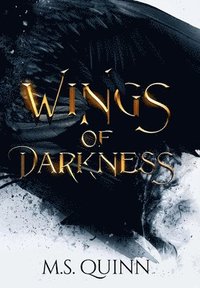 bokomslag Wings of Darkness