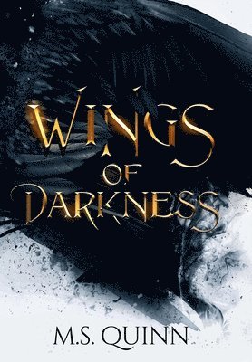 bokomslag Wings of Darkness