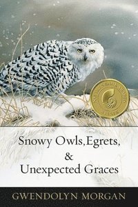 bokomslag Snowy Owls, Egrets & Unexpected Graces