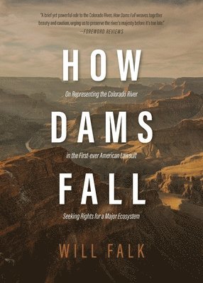 bokomslag How Dams Fall