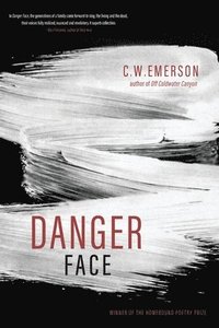 bokomslag Danger Face