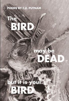 The Bird May Be Dead But It Is Your Bird 1