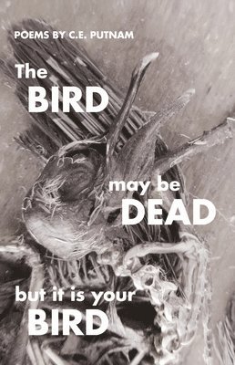 bokomslag Bird May Be Dead But It Is Your Bird