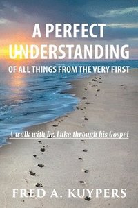 bokomslag Perfect Understanding