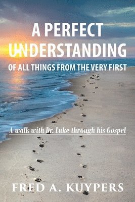 bokomslag Perfect Understanding