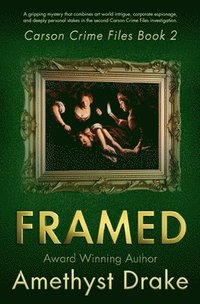 bokomslag Framed