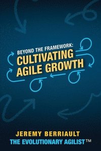 bokomslag Beyond the framework