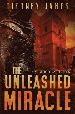 bokomslag Unleashed Miracle