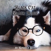 bokomslag Black Cat Black Magic