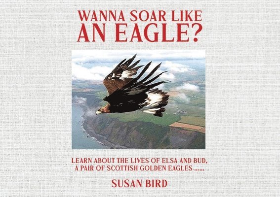 Wanna Soar Like an Eagle? 1