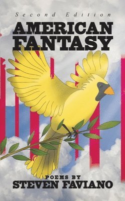 Steven Faviano - American Fantasy, Häftad