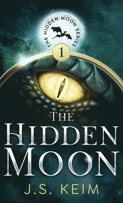 bokomslag The Hidden Moon: An Unexpected Adventure in Outer Space