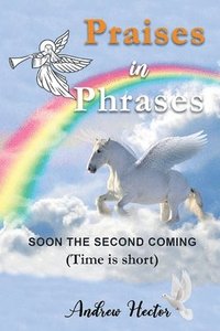 bokomslag Praises in Phrases