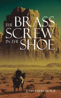 bokomslag Brass Screw In The Shoe
