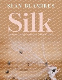 bokomslag Silk
