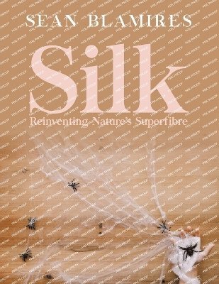 bokomslag Silk