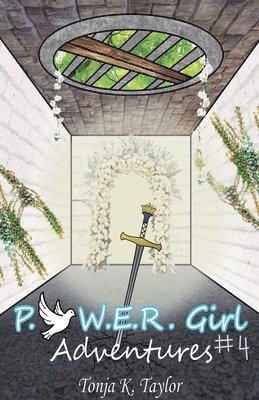 bokomslag P.O.W.E.R. Girl Adventures Book #4